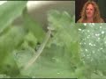 Home Movie Vol 1: ...this week in my natural world