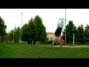 Alessio DaCol - Continuity (2008)