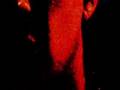 Josh Homme Mexicola Question