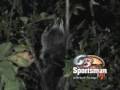 The Lost Art of Raccoon Hunting