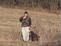 Water retrieve II.