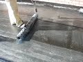 Bitumen Torch on membrane
