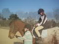 bandit jumping 2 6 and some bare backing and glennon riding bandit!!!!