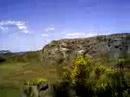 yidaki-didjeridoo.html
