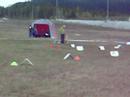 Rally lydighet