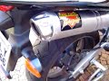 Hornet Escape Pro-Tork 788