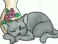 Cat Cartoon Pictures, Personality Test