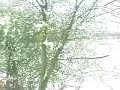 Sometimes it Snows in April...