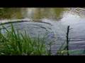 Zobacz film