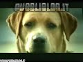 spot-bridgestone-il-suicidio-del-cane.html