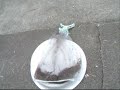 Mosquito Magnet (net replacement ?????)