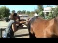 Lancing Buster's Abscess