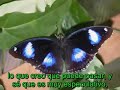 15. Evoluci�n Espiritual