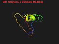 Protein folding simu