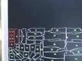 Video of Auto cutter