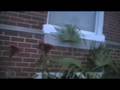 videos de GOTV in South Philly