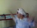 tallava hip hop 2