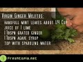#0064 - Virgin Ginger Mojitos