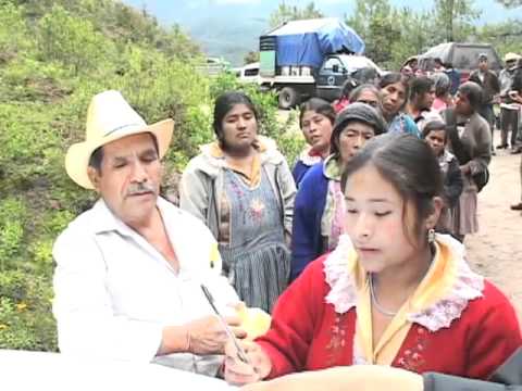 Ver Video
