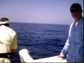 Northeast Florida Grouper Fishing