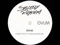 Josh Wink - Higher State of Consciousnes (album version)