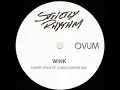 Josh Wink - Higher State of Consciousnes (album version) Josh Wink - Higher State of Consciousnes (album version)