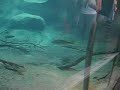 Tanked I Tanked I