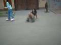 k-RuxEPPPPP-JAJAJ