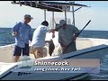 Shinnecock Fluke Shinnecock Fluke