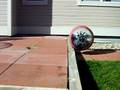 videos de spherical robot climbing up a step