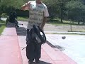 sicosis(junior)...de regreso