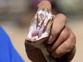 Robert C. Drewes: Snake Venom Robert C. Drewes: Snake Venom