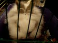 Rabbit goes to the Kiev MetroԿիևウサギキエフ地下鉄に行く。
