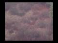 videos de hellofashot