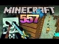 Let's Play Minecraft #557 [Deutsch] [HD] - Der Absturz nach dem Absturz