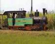 PG Kedawung Pasuruan Indonesien