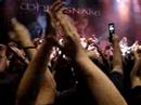 Whitesnake - here i go again