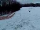 Sledding Wipeout
