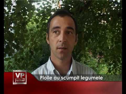 Ploile au scumpit legumele