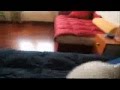 Maltés video