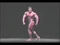 Levrone