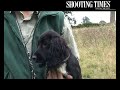 Shooting Times gundog training