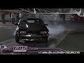 breed z31