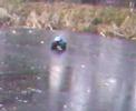 wheelie king 4x4 ice drift