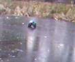 wheelie king 4x4 ice drift