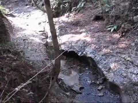 ヨコハマの秘境