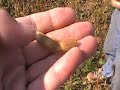 Nations at Risk Farmer George Speaks Out Canada