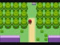 Pokemon Project Steel - First Town and Receiving Pokemon
