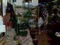 Guppy - Cell Phone Video
