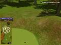 Golden Tee Great Shot on Sunny Wood!